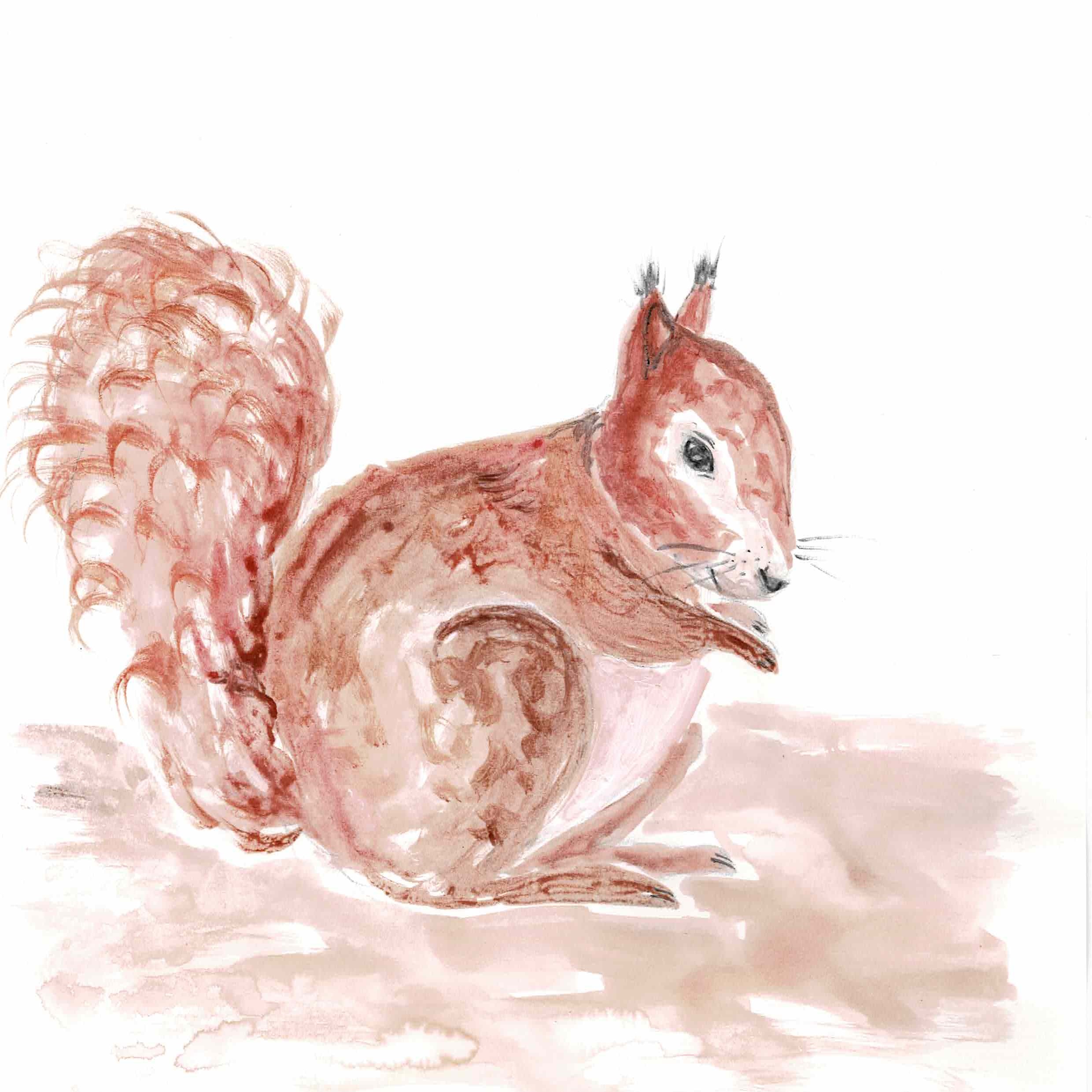 Eichhorn 2_Buch.jpeg